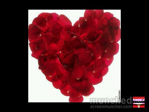 kmdalv's profile picture. 