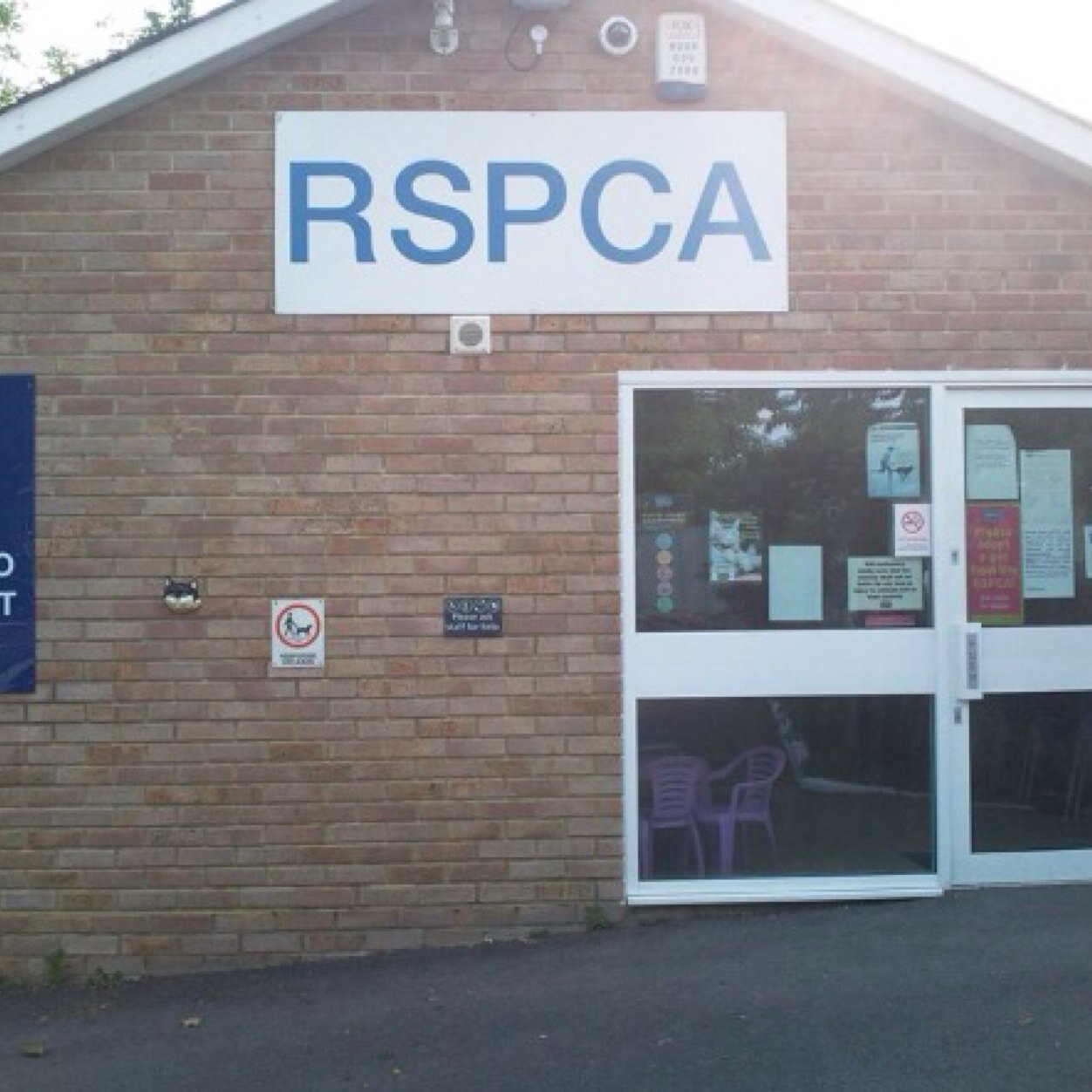 rspca southall cattery southall