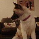 CHARLES HAMILL - @CHARLESHAMILL1 - Twitter