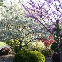 AnneLazo2018's profile picture. My passion is to help others and make the world a better place. Working together, we can make it happen. [PhD Albert Einstein College of Medicine, NY]