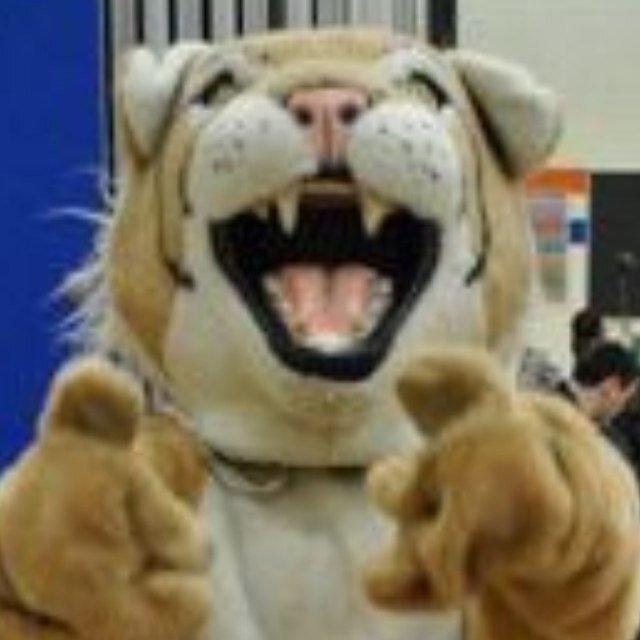 Willy has a voice! Follow for updates on our wild Wildcat events SC: cairinewilson