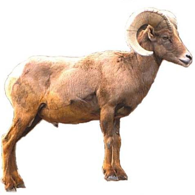 ShepUConfess's profile picture. DM your Shepherd University confessions OR submit them here http://t.co/mCOfewKXxu