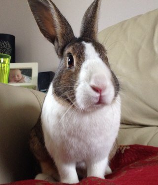 OnlyWayIsOscar Profile Picture