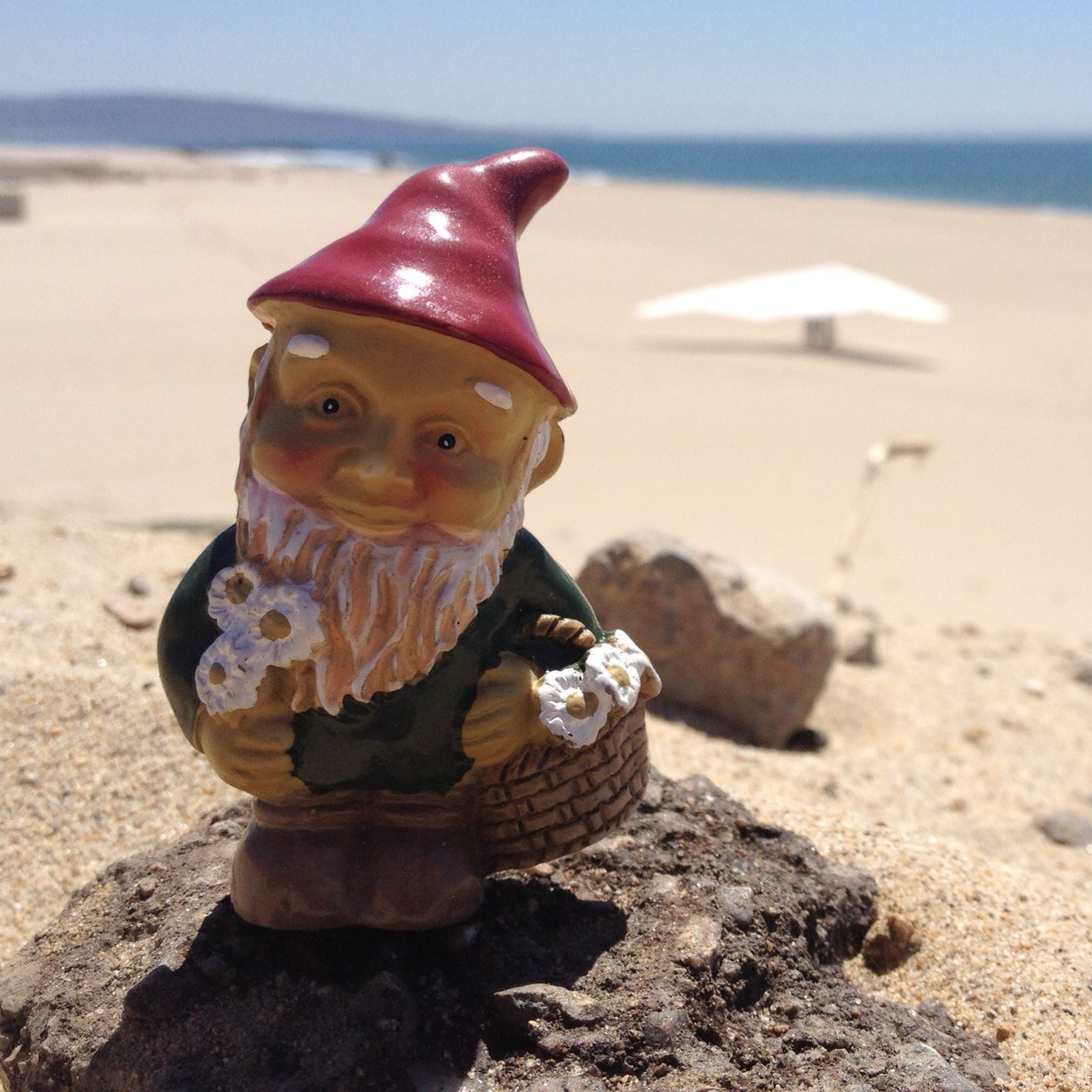 Traveling Gnome. Seeing the world one trip at a time with my owners @erin17goodman and @AnaMartinezCh