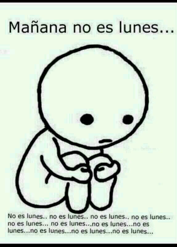 luis_socarrat's profile picture. 