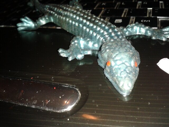 Jimmy el Lagarto. De un hermoso verde metalizado. Me gusta pegarme en todas las superficies. Le tengo puesta a @rubenrichman una orden de alejamiento. YOLO