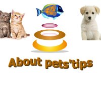 pets' tips (@tipspets) 's Twitter Profile