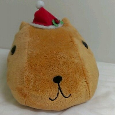 つねみん