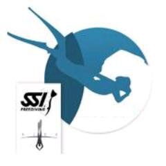 LApneacom's profile picture. Revista de Apnea/Freediving