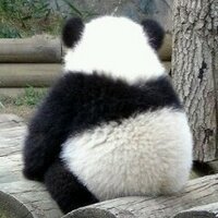 란조(RANZO) (@ranzo99) 's Twitter Profile Photo 란조(RANZO) (@ranzo99) 's Twitter Profile Photo