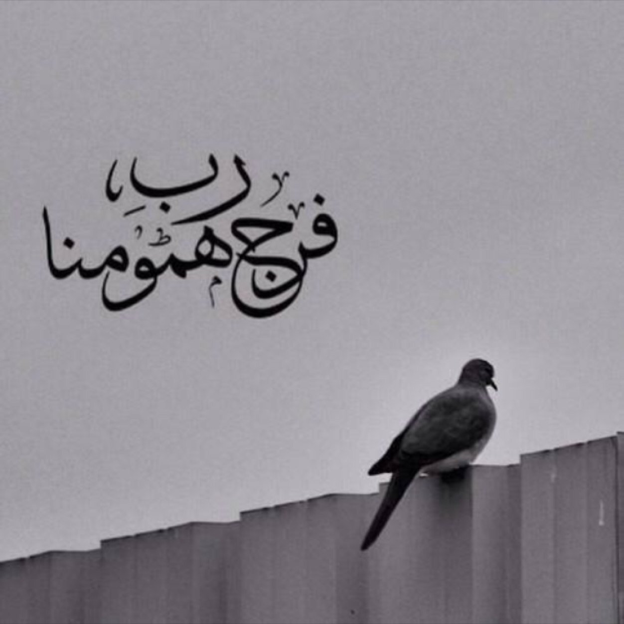 يآرب يآصّانَعْ المٌعْجِزْآتّ أرّنَيّ عَجْائبَ الفَرّحَ بُكّلّ مآ أتْمنَآآآه ...