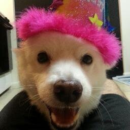Goon, sarcastic prick and dog lover. My dog. Not your dog. Screw your dog.