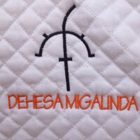 Dehesa Migalinda(@dehesamigalinda) 's Twitter Profile Photo