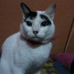 suaminitoana's profile picture. calzado hannie  y yeimito sport