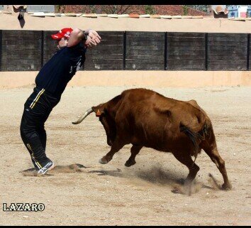 josiyo06's profile picture. Me gustan las motos la caza y los toros.