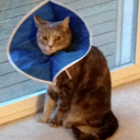 iMain - @IsabelMain - Twitter