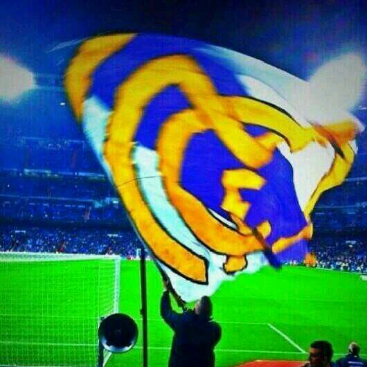 vicente_aguado's profile picture. mi vida,mis reglas...