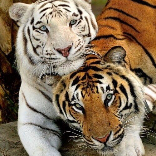 SquidgeEdwards's profile picture. Love me for who I am not for who you hope I'll be some day, because life's too short to try and be anything else xoxoxox