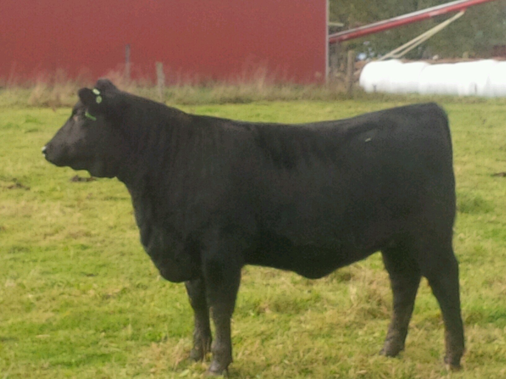 HargraveBrent's profile picture. 