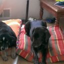 Melissa Severson - @81Misslyss - Twitter