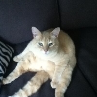 Profile Picture of Charlie Derek Hughes (@CharlieDerekHug) on Twitter