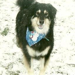 TerryD35's profile picture. 