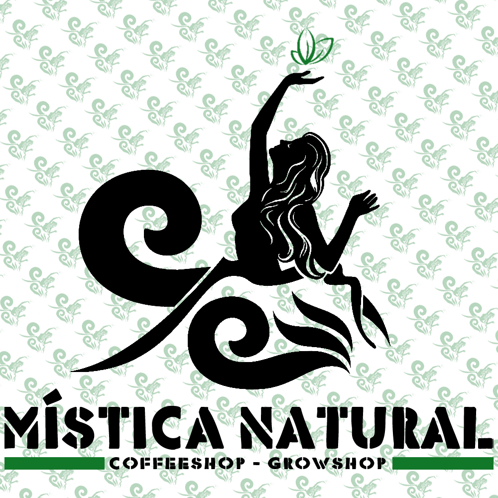 Mística Natural Ancud, Coffeeshop - Growshop. Cafetería tematica y tienda especializada de asesoriamento y venta de productos para cultivo de interior o urbano.