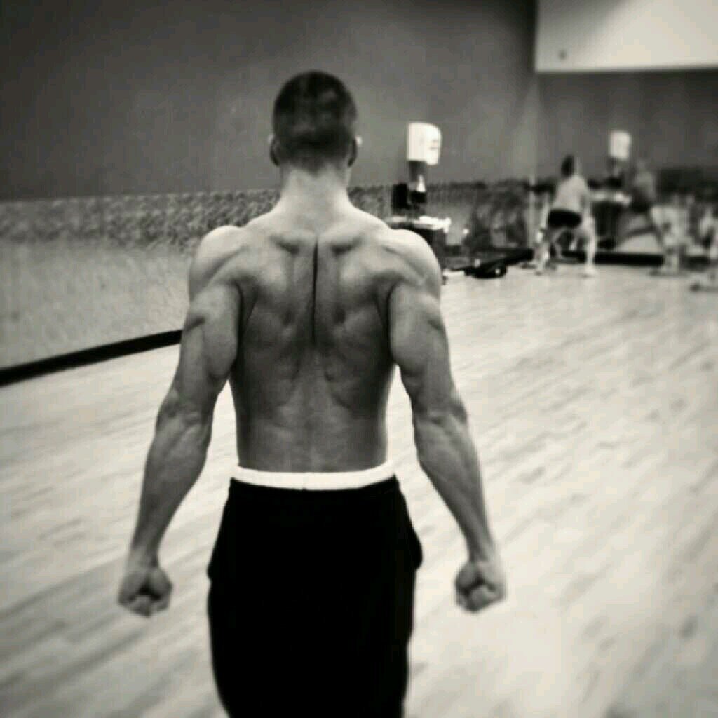 stephanknows's profile picture. Work hard, lift harder. Instagram: @spg970. Facebook: https://t.co/cIGJMsdLhF
