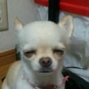 奈津美☆ (@0327210) Twitter
