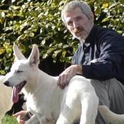 fisa4_de's profile picture. 