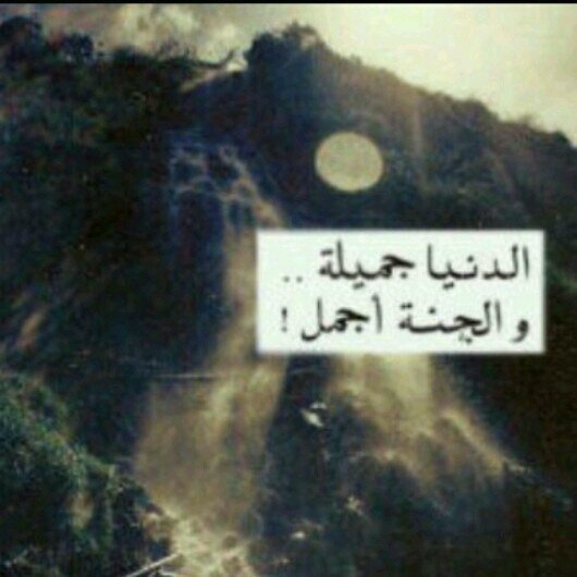‏‏‏‏‏‏طالبه ف جامعه ام القرى بكالوريوس لغه عربيه.هدفي وغايتي رضى الله ثم ابي وامي