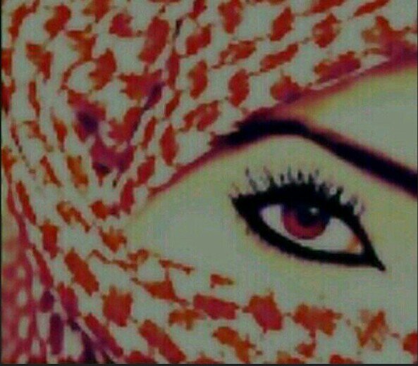 ‏فتاة متواضعة..أحب اﻵخرين..أملك شهادة جامعية متخرجة من جامعة الملك خالد اﻻدبية قسم انجليزي ♥