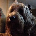 Joe Alleva - @AllevaJoe - Twitter