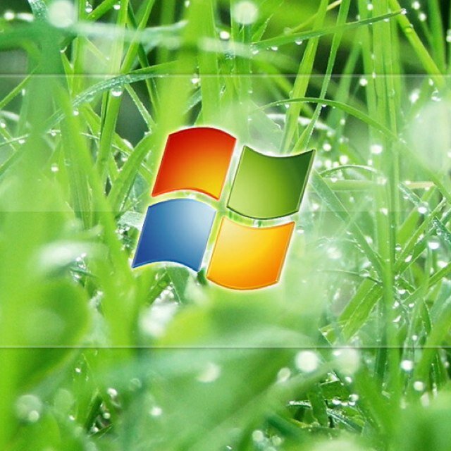 holdensrock8's profile picture. 