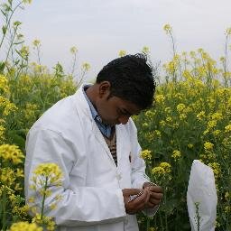 Doing research for the improvement of farmer's life.......