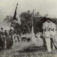 Pada tanggal 11 April 1956 Rimba Kungku diresmikan oleh Presiden RI Ir.Soekarno