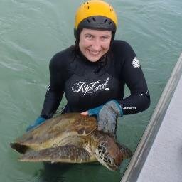 I like turtles - PhD Candidate, UQ, Brisbane