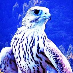 Providing Commercial Capital Solutions To Businesses To Help Them Soar!