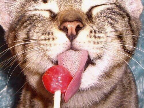 Follow @Wendy_gls et je te follow :)