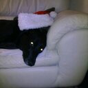 beth mccurdy - @bethmccurdy73 - Twitter