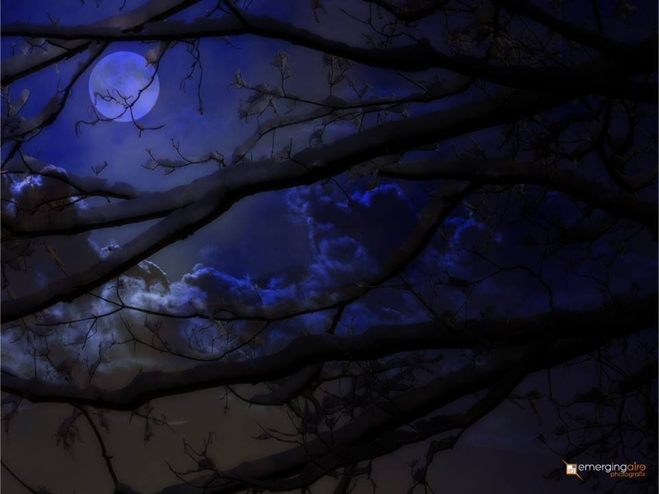 pharmdmom2010's profile picture. Pharmacist @ Walmart Neighborhood Market