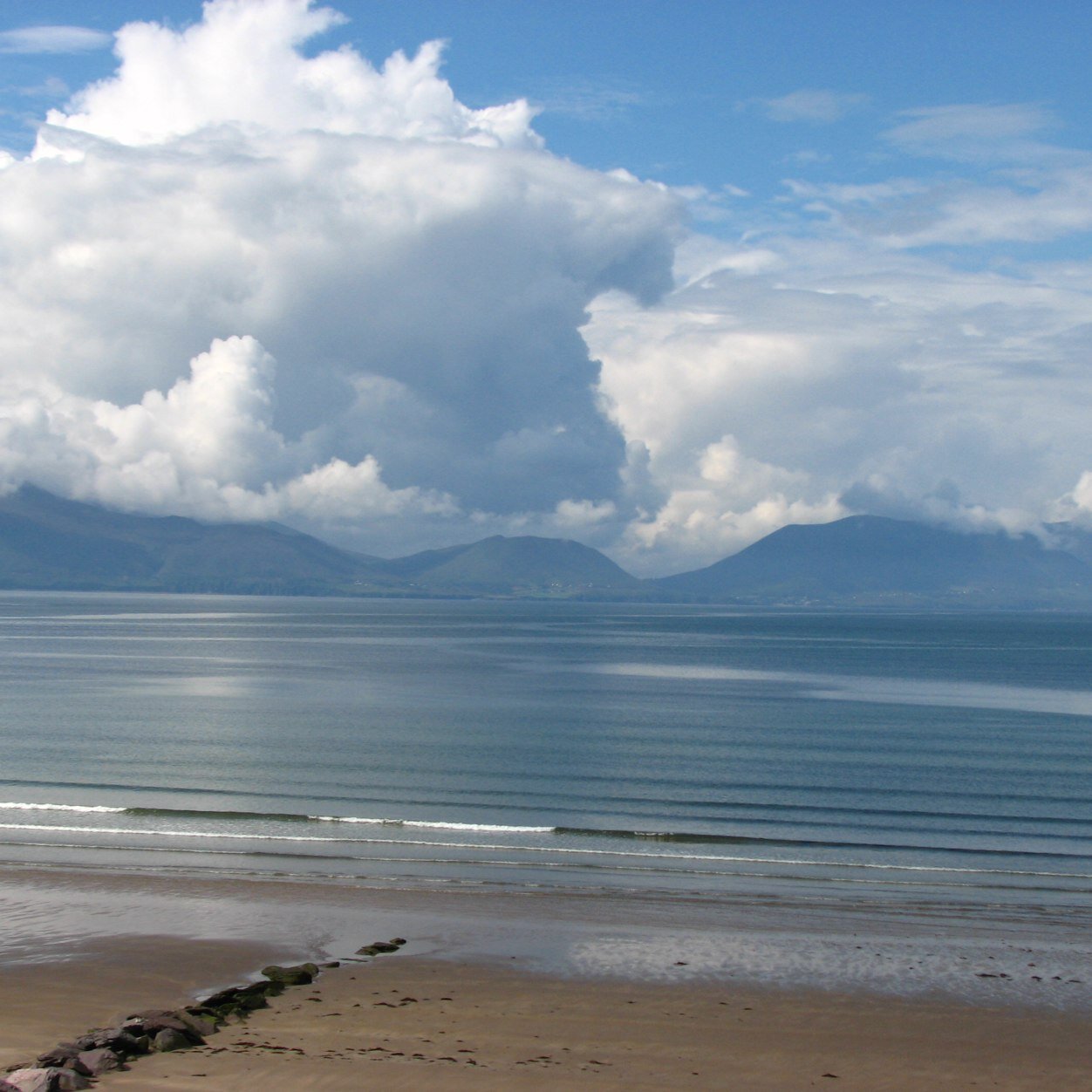 fjevermeulen's profile picture. Policy advisor at Dutch customs Audit Enforcement Photography