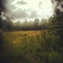 Mitch Bond - @mitchqjh - Twitter