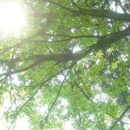 自分磨きを頑張る20代です。ファッション、おしゃれ、
自分磨き、お悩みなど自分にプラスになると思ったらリツイートしていきます。相互フォローも募集していますので宜しくお願い致します。