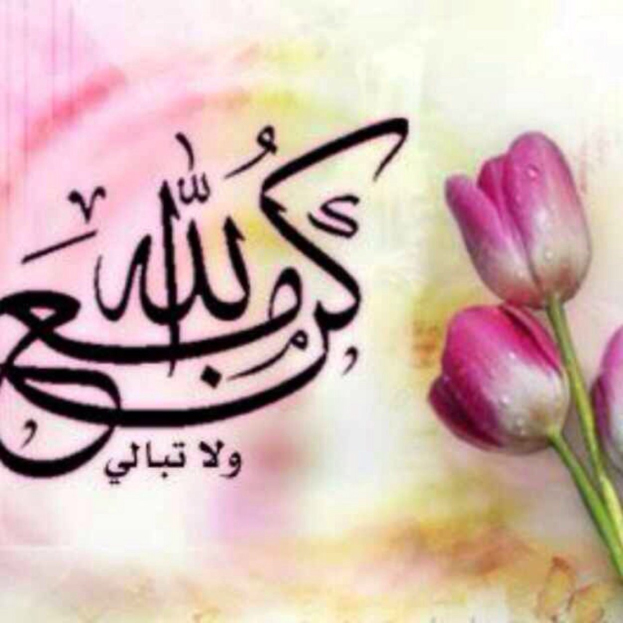 كاتب هاوي سياسة وبس