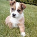 scott jantz  - @scotjantz - Twitter