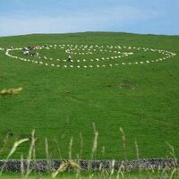 KateB (@bkatekb) 's Twitter Profile Photo