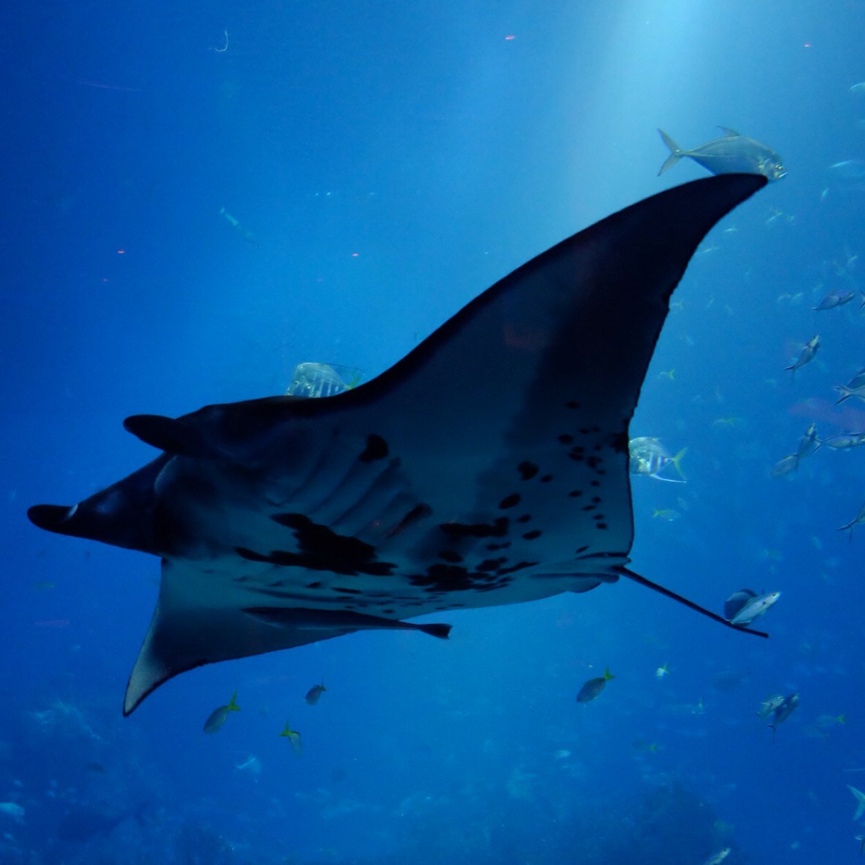 geraldtew's profile picture. 