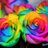 casinogirl88's profile image