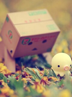 Follback :-)